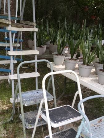 Yard Sale Inside & Outside