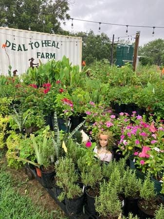 BIG PLANT & ANTIQUE SALE
