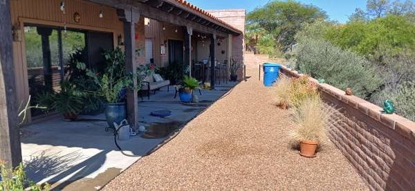 Moving & Plant Sale